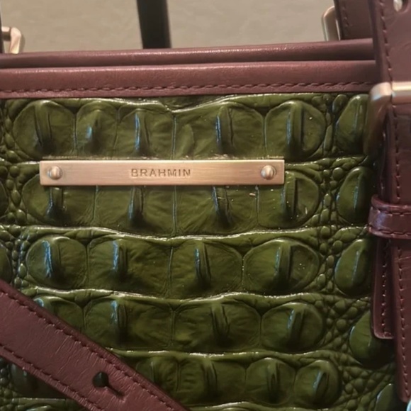 Brahmin Mini Asher Satchel Pecan Melbourne Leather Croc  Brahmin mini Asher Green Croc